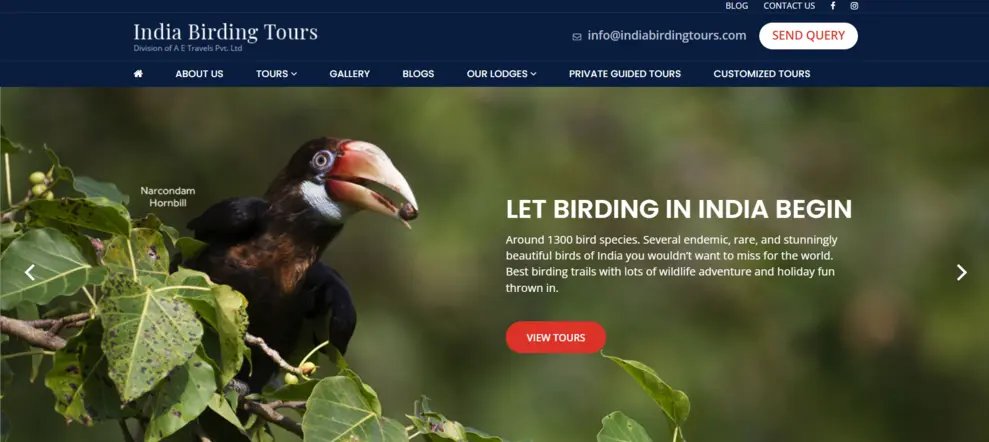 Indiabirdingtours