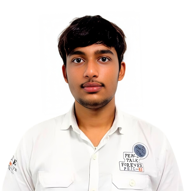 SEO Executive