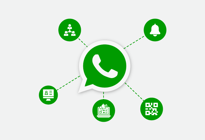WhatsApp automation for ecommerce