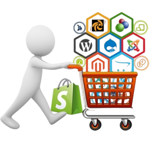 Custom E-commerce Development Services