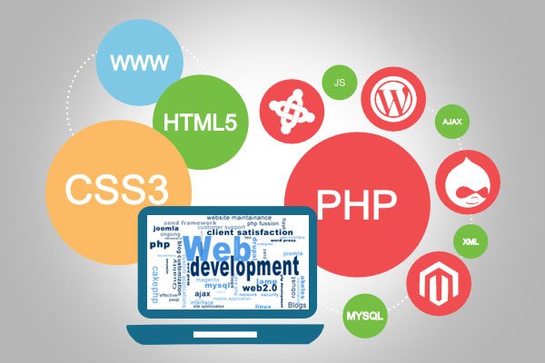 Custom E-commerce Development Services