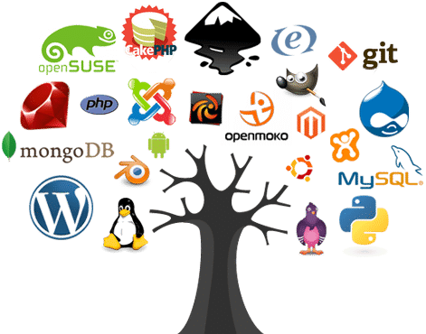 website_development-solution