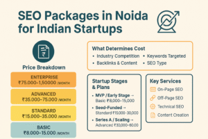 Infographic explaining seo packages in noida for Indian startups
