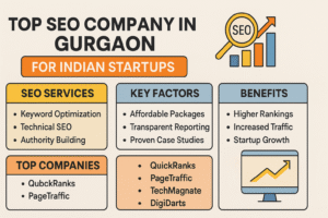 Infographic on top seo company in gurgaon process