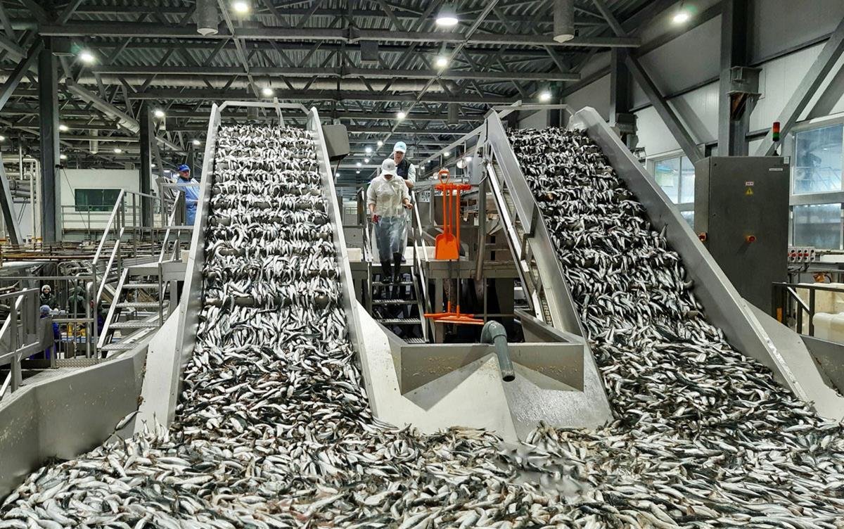 Fishermanshub
